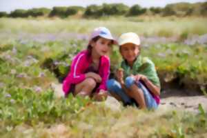 photo Sortie nature : Petit aventurier dans le havre