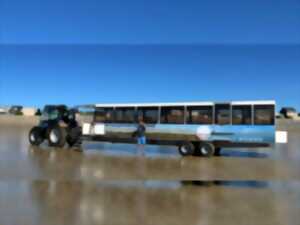 photo La balade d'Anton