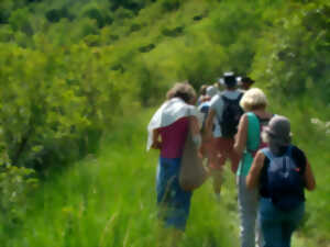 photo Sortie botanique ENS