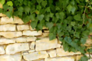 photo Découverte des tourbières