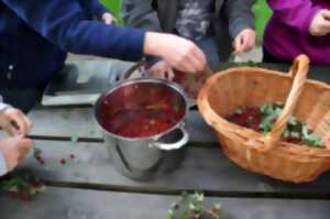 photo Les baies sauvages