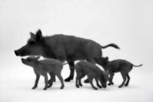 photo Domaine de Sédières : Exposition : Nature