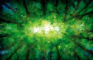 photo Domaine de Sédières : Naissances des grands mammifères