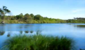 photo Balade pédestre guidée