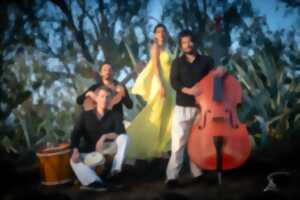 photo Soirée de clôture du Festiv'Azul avec double concert