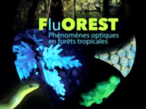 photo Exposition FluOREST - Phénomènes optiques en forêts tropicales