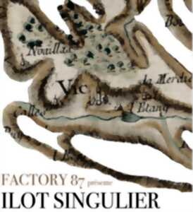 photo Exposition : Ilôt Singulier du Collectif FACTORY 87