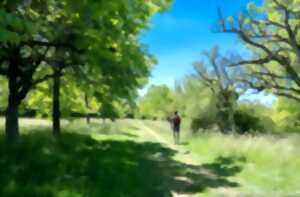 photo A la découverte de la Réserve du Bastberg