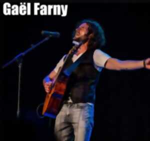 photo Concert - Gaël Farny