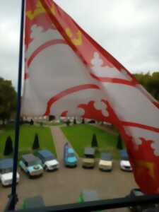 photo Festival de voitures françaises de 1900 à 1985