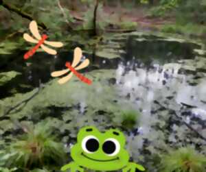 photo Balade nature autour de l’étang