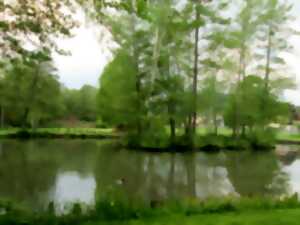 photo Pêche semi-nocturne