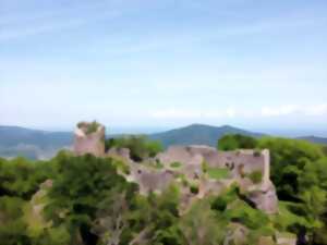 photo Portes ouvertes du musée : thème des châteaux