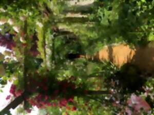 photo Atelier Entretenir les Vivaces