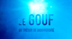 photo Diffusion du film documentaire 