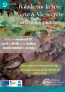 photo Fêtons la biodiversité : Balade sur la voie verte & La vie secrète entre les pierres