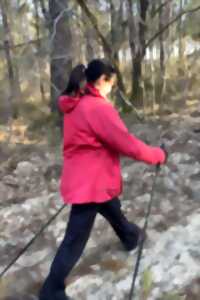 photo découverte gratuite de marche nordique