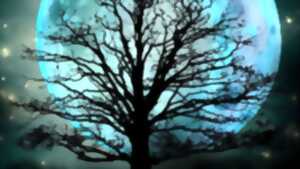 photo Concert du duo Hang Métiss