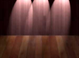 photo Théâtre BONHEUR MÉNAGER