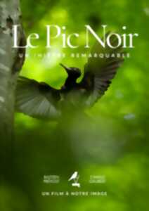 photo La Naute : Balade/ Ciné /échange