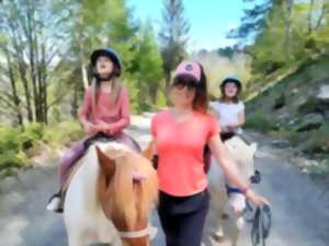 photo PROMENADE À CHEVAL - STAGE PONEY