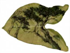 photo EXPOSITION CAROLE NOUET SOPHIE BLANC