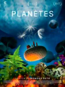 photo Cinéma à Carolles