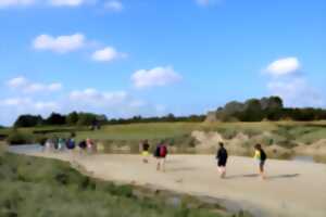 photo Sortie nature : Traversée du havre de l'Ay