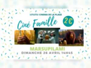 photo Ciné famille 