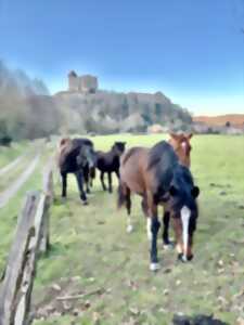 photo MA RANDO NATURE