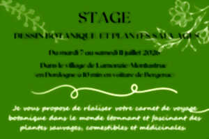 photo Stage dessin botanique et plantes sauvages