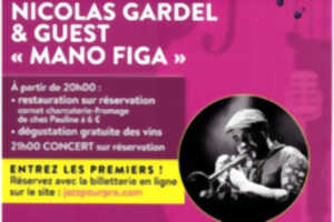 photo Jazz en chais | Nicolas Gardel et Gest