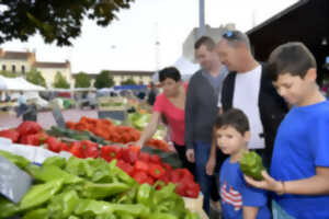 photo Marché Saint-Roch