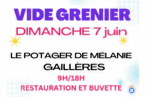photo Vide grenier dans la nature