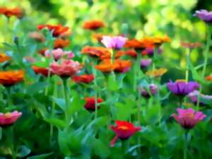 photo Marché aux fleurs & Bal de Printemps