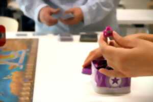 photo Tournoi Aventuriers du Rail Europe