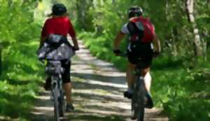 photo Balade Familiale à Vélo