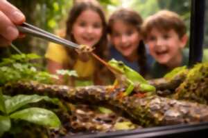 photo Goûter des Rainettes