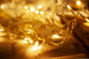 photo Festival l'Alsace se(raconte) : Rêve de papier