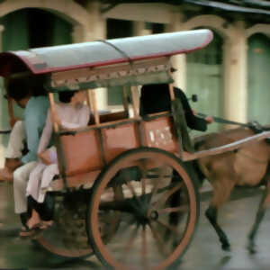 photo Invitation au voyage : les Alsaciens à la découverte du monde