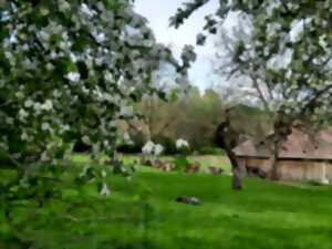 photo Portes Ouvertes de la Ferme du Fol'Epi