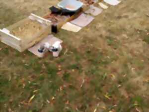 photo Atelier parents/enfants « Sortir en nature sauvage proche de chez soi »