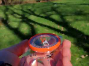 photo « Orient’arbres » : Découvertes naturalistes et orientation