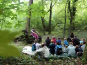 photo Balade contée 'Echos de la forêt'