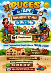 photo PUCES DE L'APE
