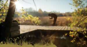 photo Les sources de l'Yonne : archives vivantes !