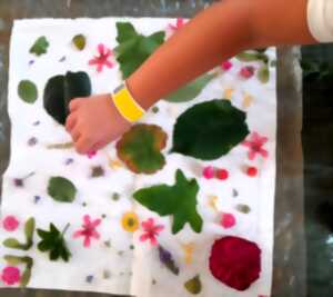 photo Atelier créatif végétal