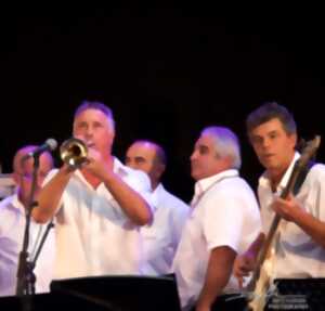 photo Le concert des 25 d'Arraya !