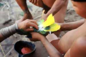 photo Conférence « L’oiseau bariolé : enquête en forêt Amazonienne »