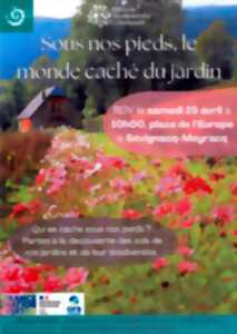 photo Fêtons la biodiversité : Sous nos pieds, le monde caché du jardin